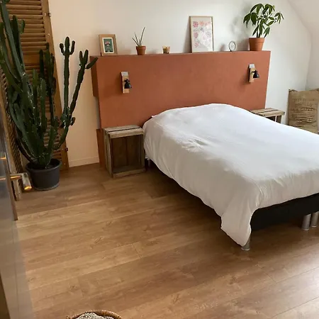 Maison Bords De Loire, Sur Loire, 4 Pers